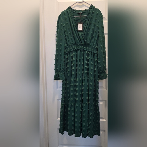 Elegant Forest Green Long Sleeve Dress - Picture 1 of 11